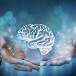 Digital illustration of a glowing human brain held between two hands, representing brain health, cognitive function, and neurological support