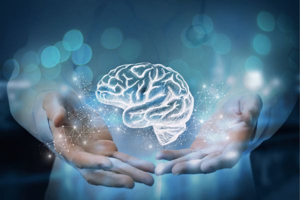 Digital illustration of a glowing human brain held between two hands, representing brain health, cognitive function, and neurological support