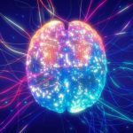 Vibrant illustration of a human brain with glowing neural connections, symbolizing neuroplasticity, brain function, and cognitive health.