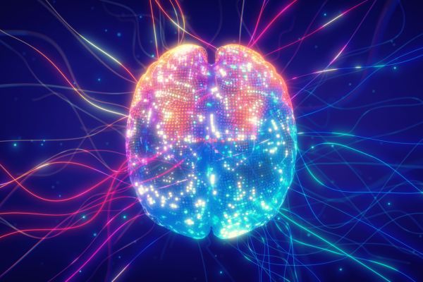 Vibrant illustration of a human brain with glowing neural connections, symbolizing neuroplasticity, brain function, and cognitive health.