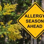 Yellow roadside warning sign reading “Allergy Season Ahead” beside blooming yellow flowers (ragweed) in a wooded outdoor setting.
