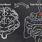 Chalkboard-style illustration showing the connection between mood and gut health, featuring a hand-drawn brain labeled “Your Mood” and a digestive system labeled “Your Gut Bacteria” with colorful bacteria icons and arrows indicating the gut-brain connection.