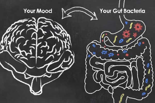 Chalkboard-style illustration showing the connection between mood and gut health, featuring a hand-drawn brain labeled “Your Mood” and a digestive system labeled “Your Gut Bacteria” with colorful bacteria icons and arrows indicating the gut-brain connection.