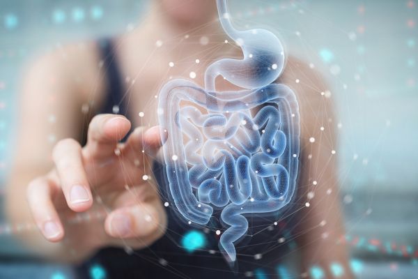 Close-up of a person reaching toward a digital holographic illustration of the digestive system, including the stomach and intestines, surrounded by interconnected data points and network lines. The image represents gut health, the microbiome, digestive wellness, and the connection between technology and human health.