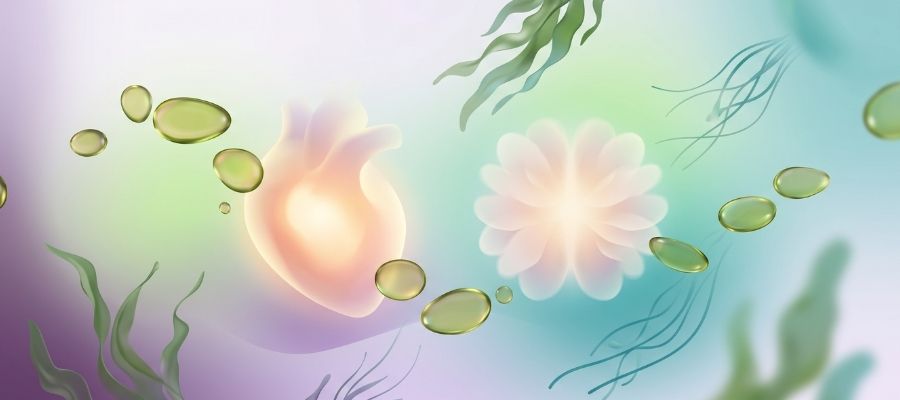 Algae omega-3 for heart and brain