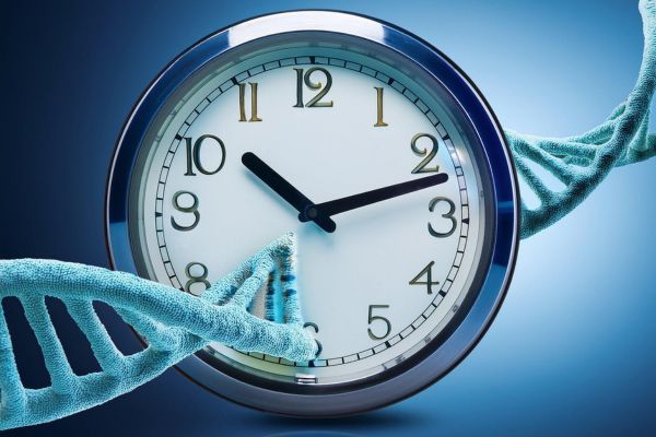 A turquoise DNA double helix curves around an analog clock against a blue background, illustrating biological aging.